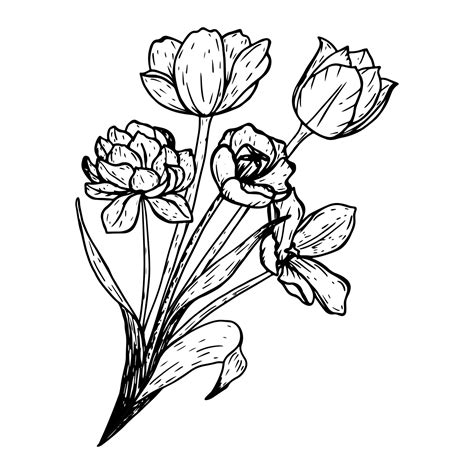 bouquet of flowers clipart black and white|Flower Clipart Black And White Vector Images .